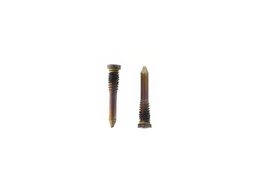 Vite Connettore Ricarica Kit 2 pz Oro per Apple iPhone 12 Pro Max