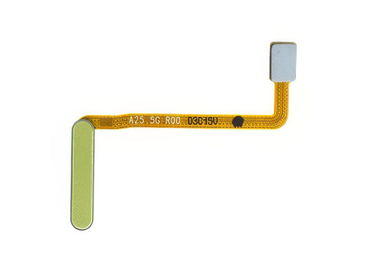 Flat cable + Lettore Impronta Giallo per Samsung SM-A256 Galaxy A25 5G