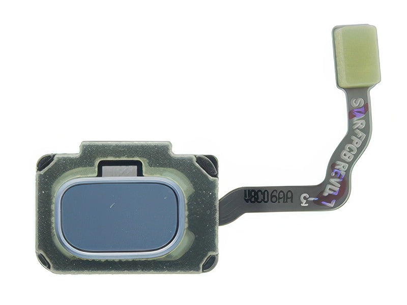 Flat Cable + Tasto Home Polaris Blu per Samsung SM-G960 Galaxy S9