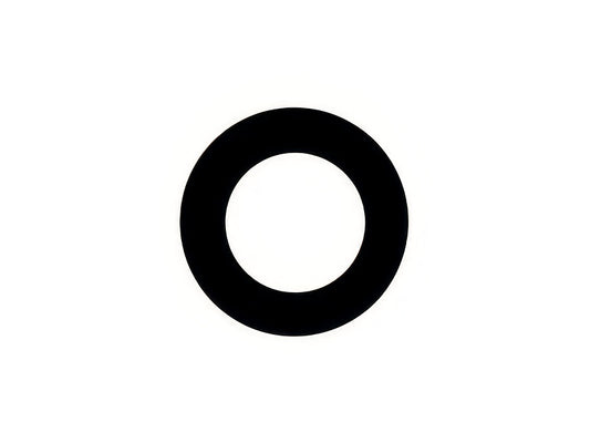 Vetrino Camera Posteriore 8MP per Motorola Moto G60s