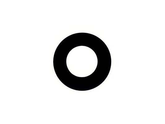 Vetrino Camera Posteriore 2MP per Motorola Moto G9 Power